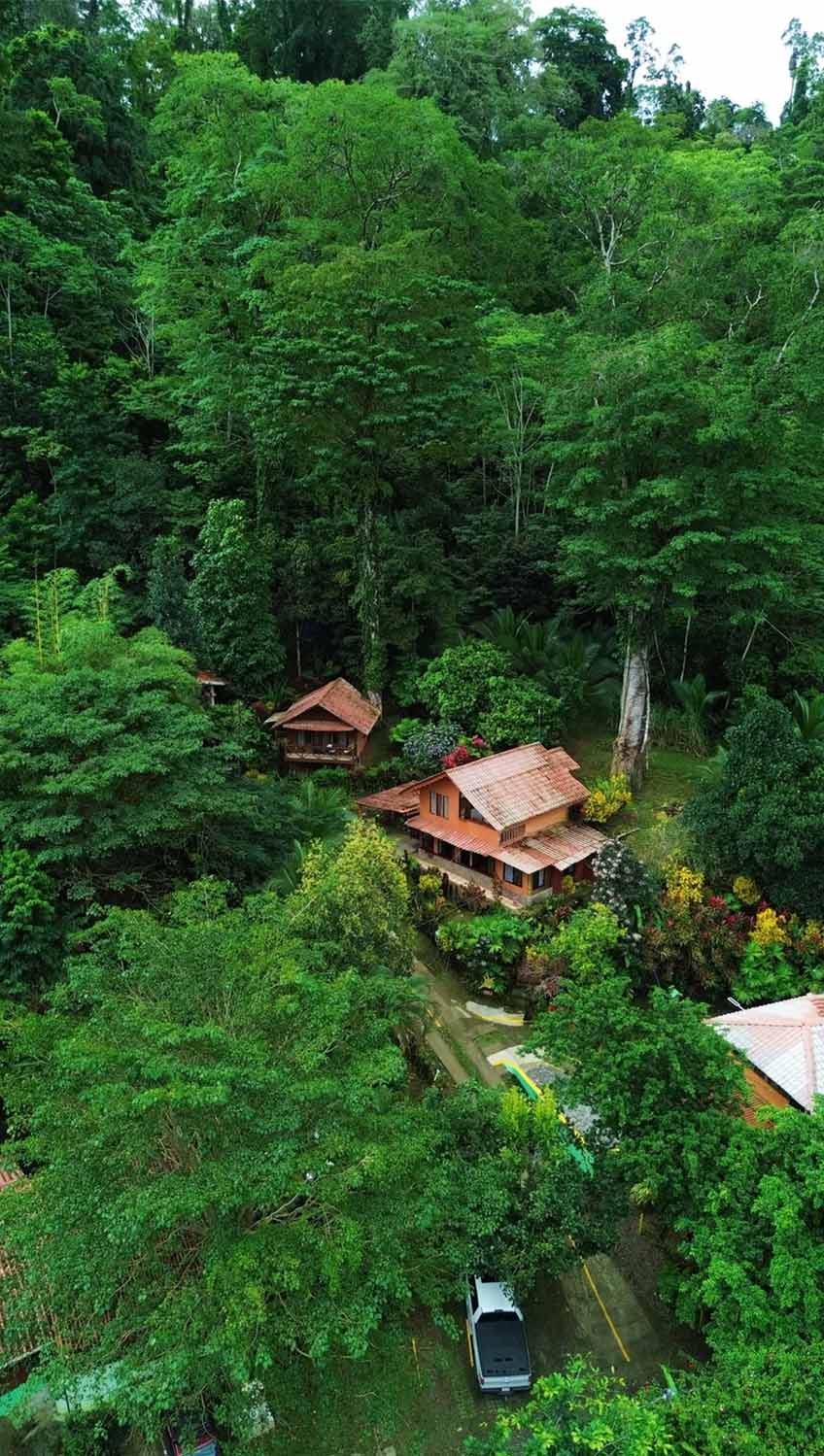 Rainforest canopy around Blessed House in Puerto Viejo, Costa Rica
